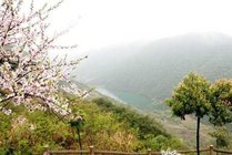丫山花海石林旅游风景区