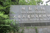 大围山国家森林公园