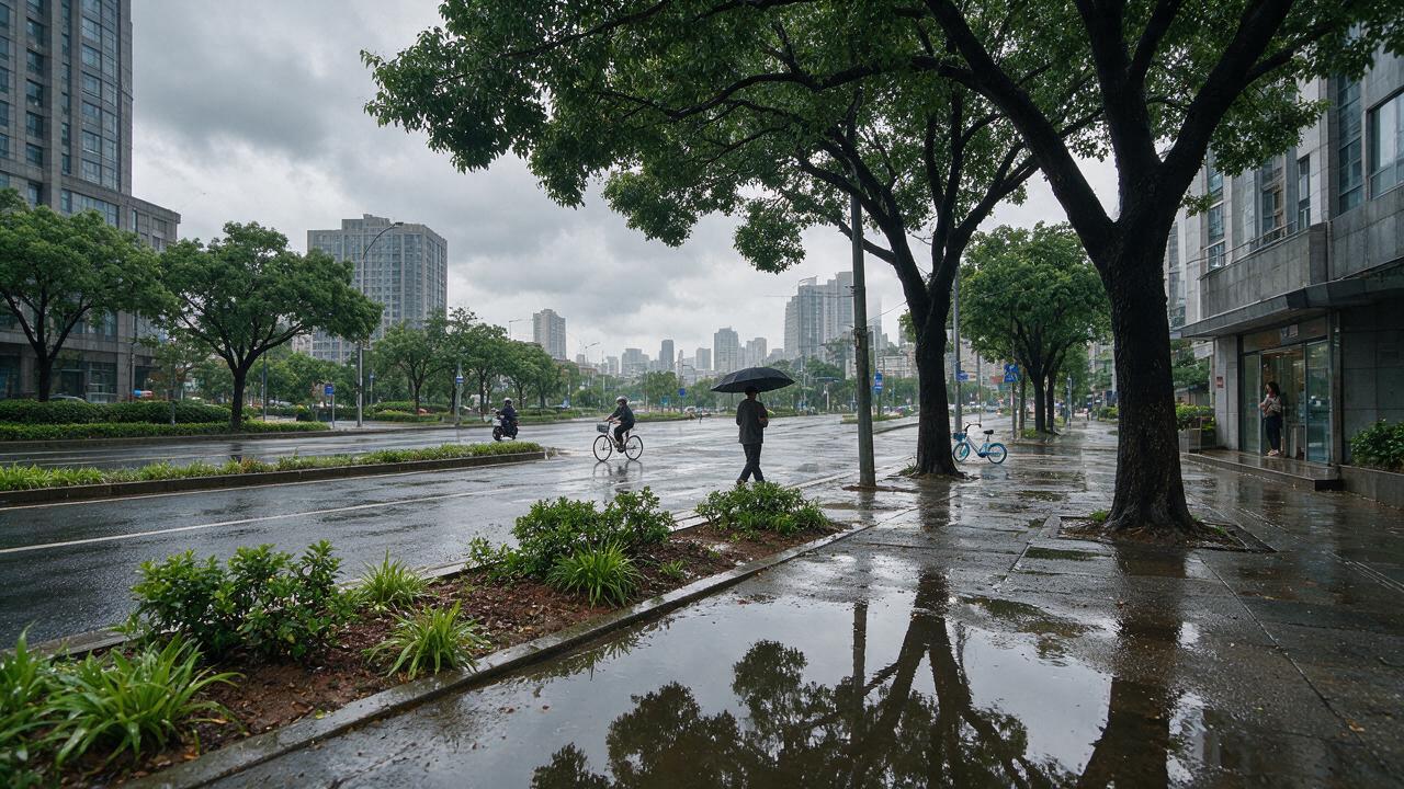 中央气象台发布渍涝风险预警:全国多地需警惕城乡积涝